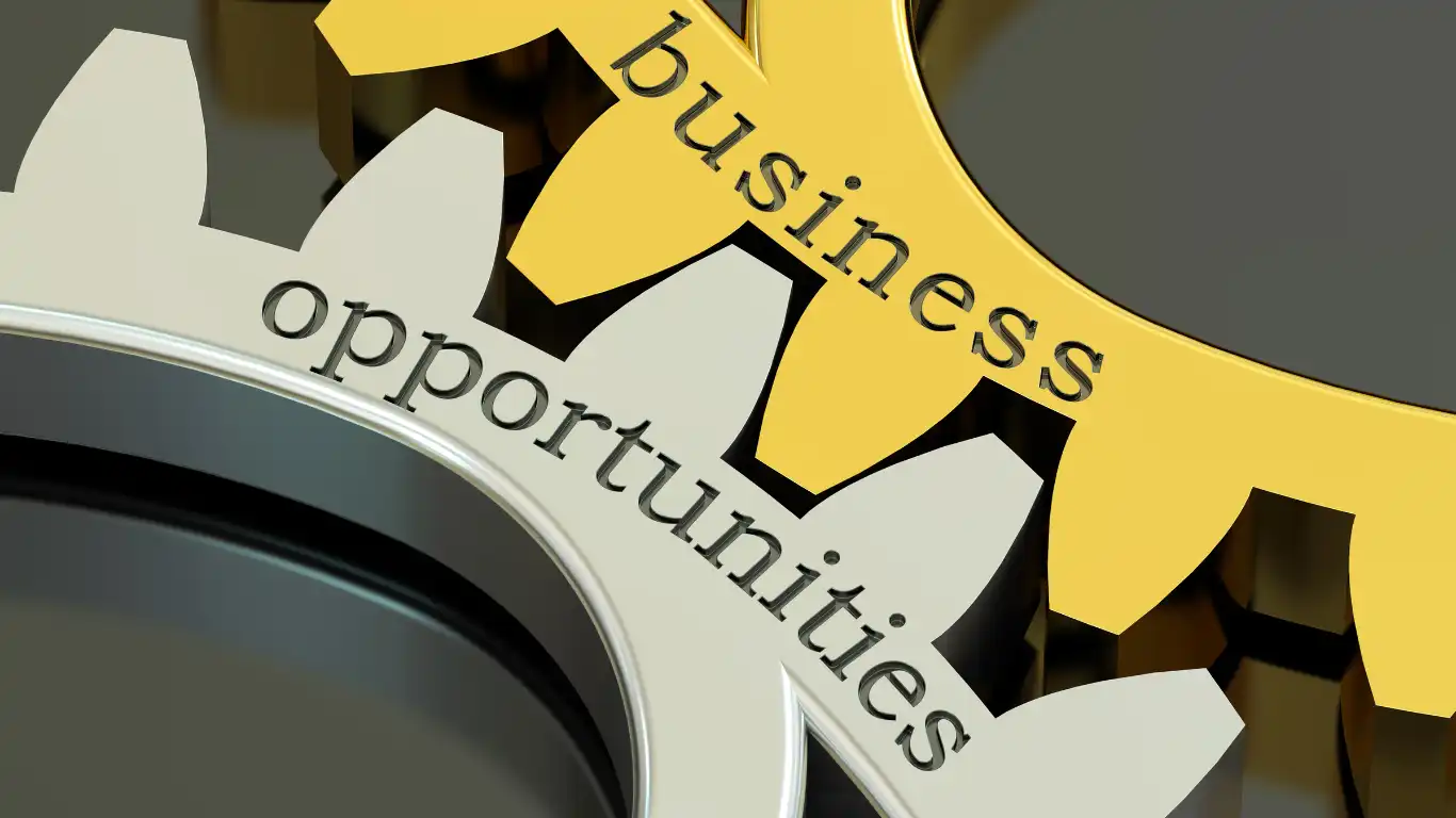 Business Opportunities